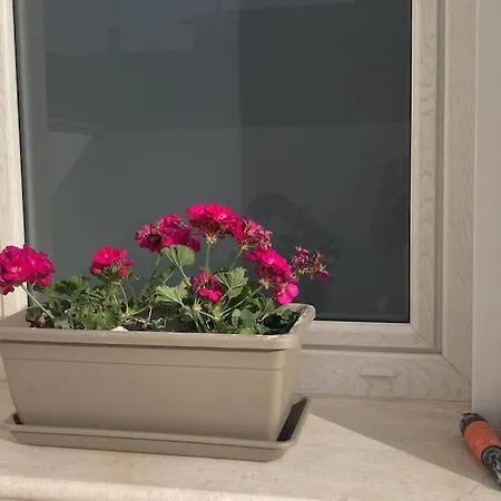 Casa Mosaico Iun R9770 아파트 SantʼAntìoco